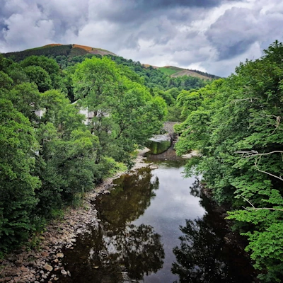 A gentle stream with overhanging trees, representing peaceful accessible waterways